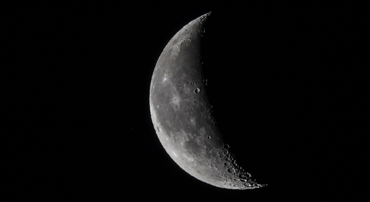 Estudiante participante