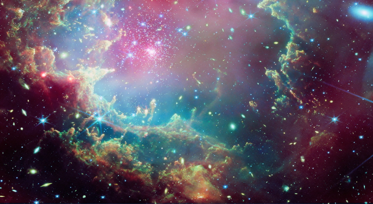 Estudiante participante